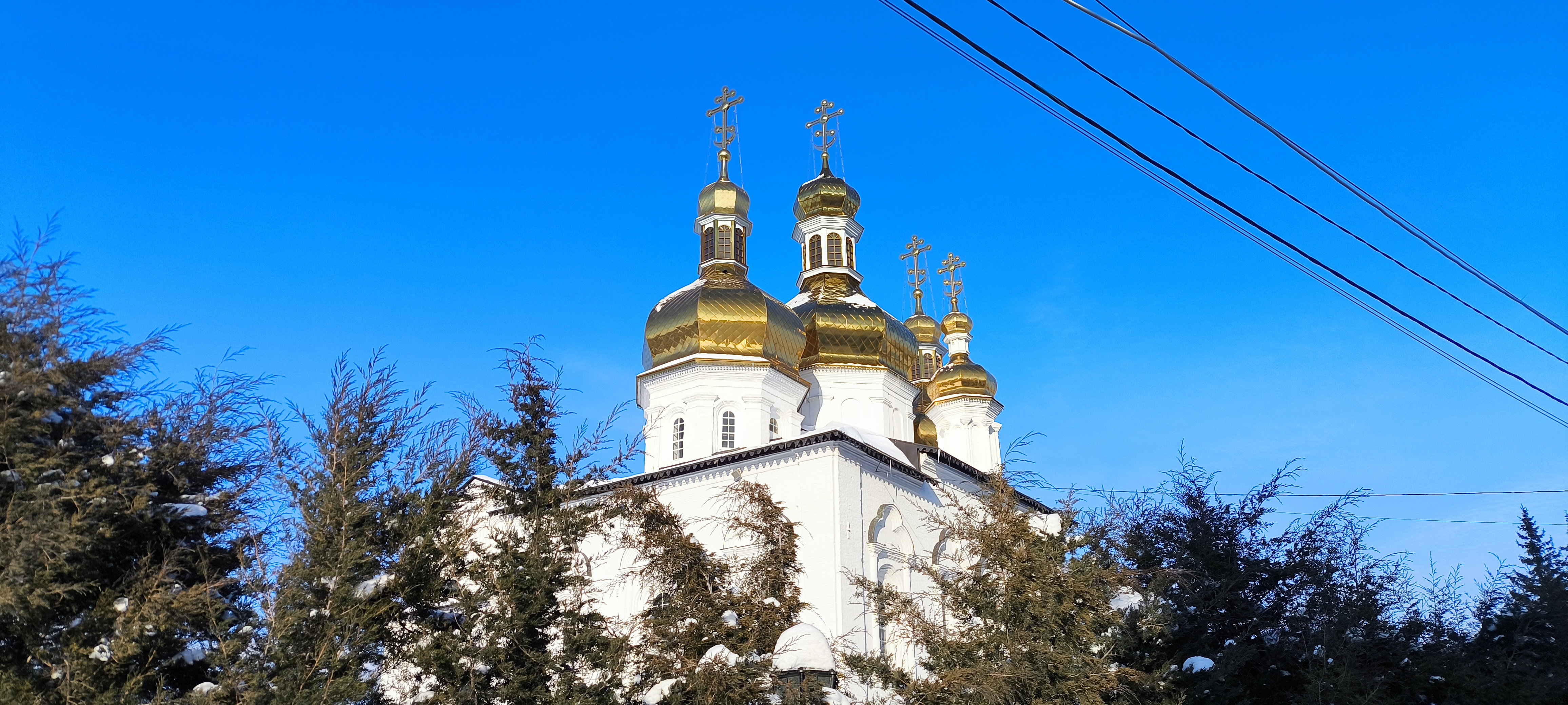 Без названия